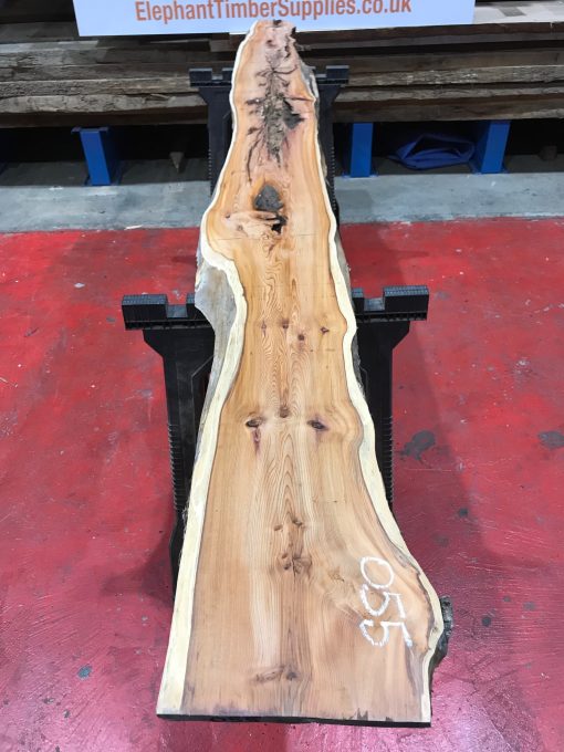 Kiln dried Yew #055