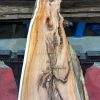 Kiln dried Yew #055