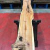 Kiln dried Yew #055