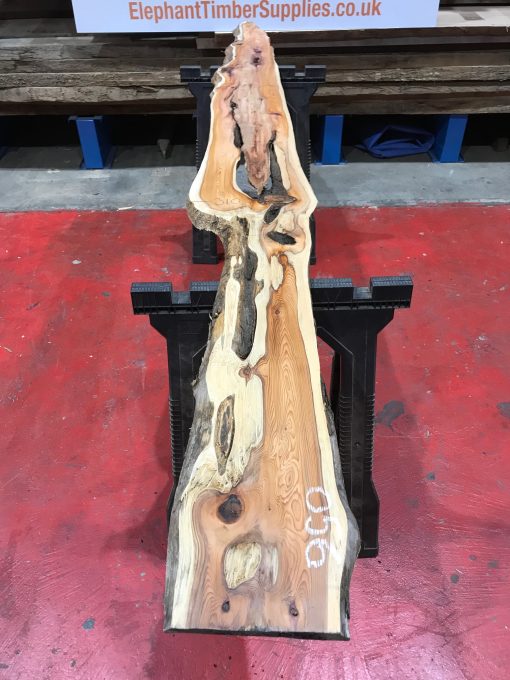 Kiln dried Yew #056