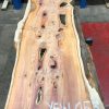 Yew #053 kiln dried plank