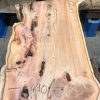 Yew #053 kiln dried plank