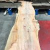 Yew #053 kiln dried plank