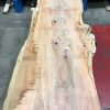 Yew #053 kiln dried plank