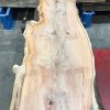 Yew #053 kiln dried plank