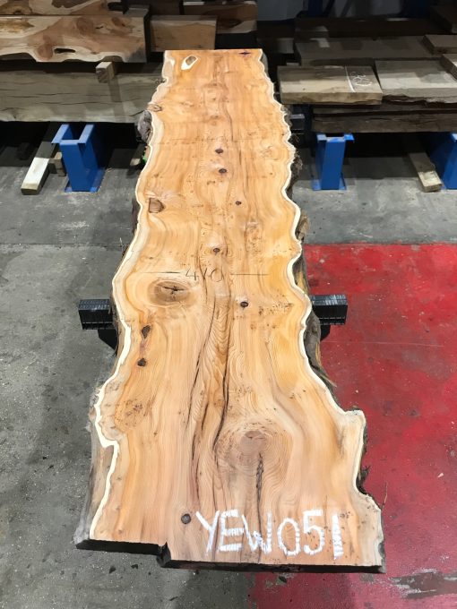 Yew #051 kiln dried plank