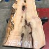 Yew #048 kiln dried plank