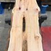 Yew #048 kiln dried plank
