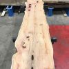 Yew #048 kiln dried plank