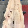 Yew #048 kiln dried plank