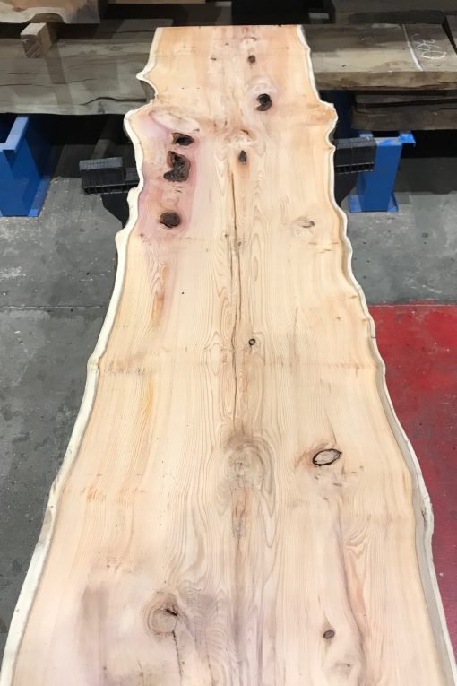 Yew #048 kiln dried plank