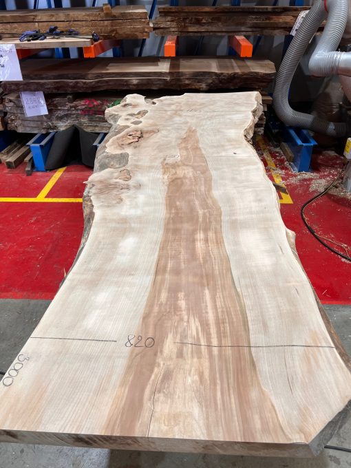 Sycamore #005 rough sawn, kiln dried. Disc sanded to show the pattern