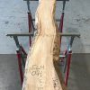 Spalted Elm #071