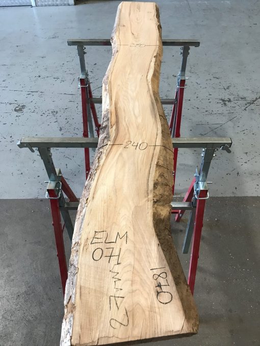 Spalted Elm #071
