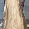 Spalted Elm #071