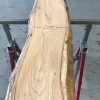 Spalted Elm #071