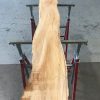 Spalted Elm #071