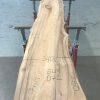 Spalted Elm #072