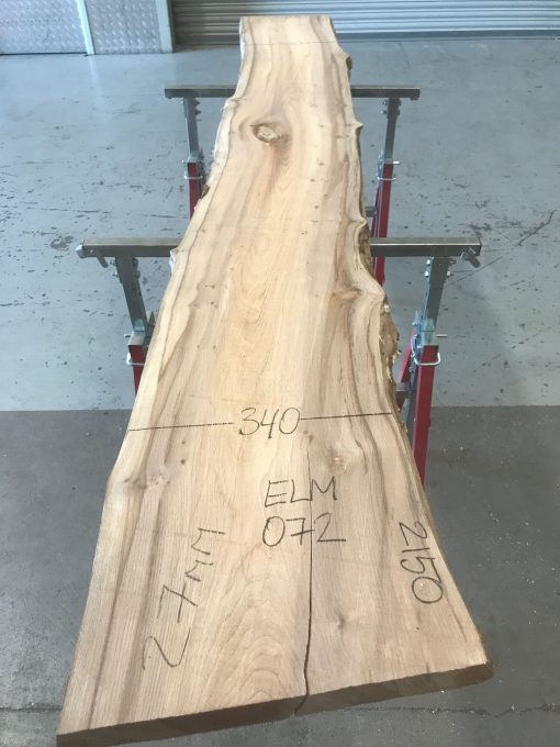 Spalted Elm #072