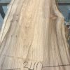 Spalted Elm #072