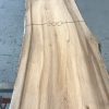 Spalted Elm #072