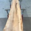 Spalted Elm #072
