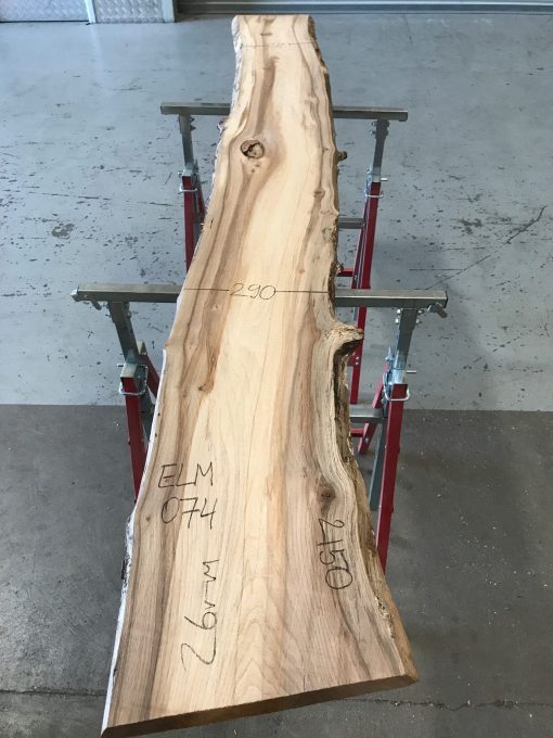 Spalted Elm #074