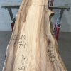 Spalted Elm #074