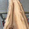 Spalted Elm #074