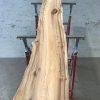 Spalted Elm #074
