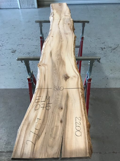 Spalted Elm #075