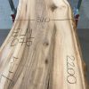 Spalted Elm #075