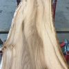 Spalted Elm #075