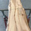 Spalted Elm #075