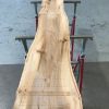 Spalted Elm #075