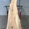 Spalted Elm #076