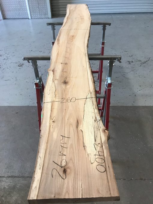 Spalted Elm #076