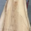Spalted Elm #076