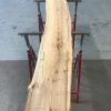 Spalted Elm #076