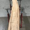 Spalted Elm #077