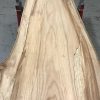 Spalted Elm #077