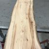 Spalted Elm #077