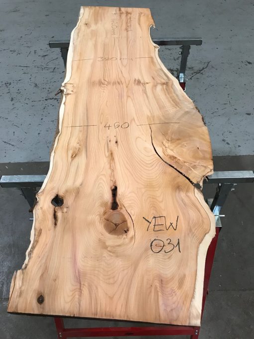 Yew #031