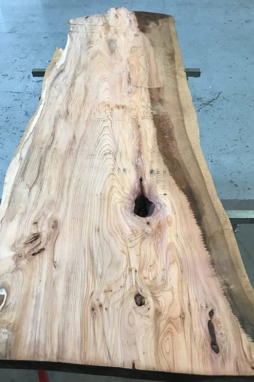 Yew #032