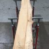 Spalted Elm #078
