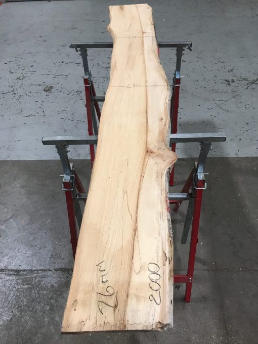 Spalted Elm #078
