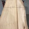 Spalted Elm #078