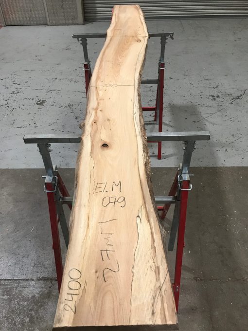 Spalted Elm #079