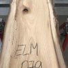 Spalted Elm #079