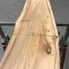 Spalted Elm #079